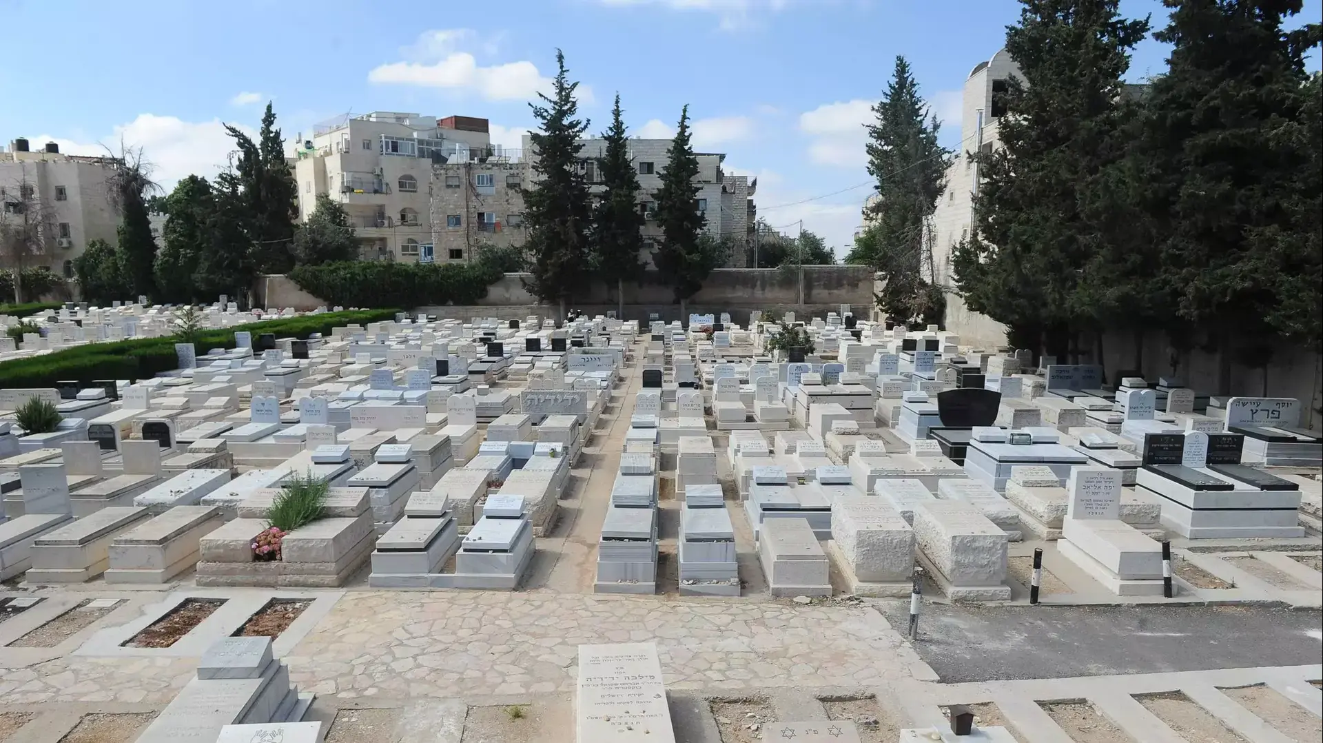 בית הקברות בסנהדריה, ירושלים. יוני 2015