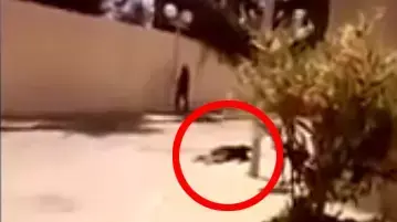 המחבל שנורה לאחר שירה למוות ב-39 בני אדם בתוניסיה, יוני 2015 המחבל שנורה לאחר שירה למוות ב-39 בני אדם בתוניסיה, יוני 2015