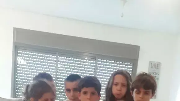 מחאת הסרדינים: תלמידי בית הספר היסודי "שמיר" בחולון מתארגנים לשביתה בראשון, 27 ביוני 2015 מחאת הסרדינים: תלמידי בית הספר היסודי "שמיר" בחולון מתארגנים לשביתה בראשון, 27 ביוני 2015