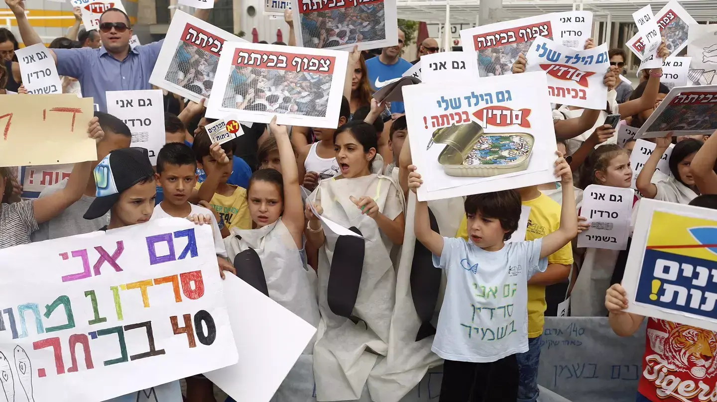 מחאת הורים ותלמידים על הצפיפות בכיתות, חולון. יוני 2015 מחאת הורים ותלמידים על הצפיפות בכיתות, חולון. יוני 2015