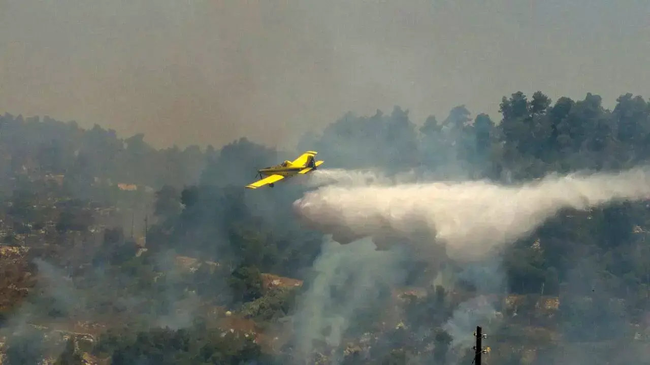 שריפה במעלה החמישה, יולי 2015