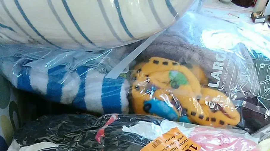 אדם הופקינס אדם הופקינס