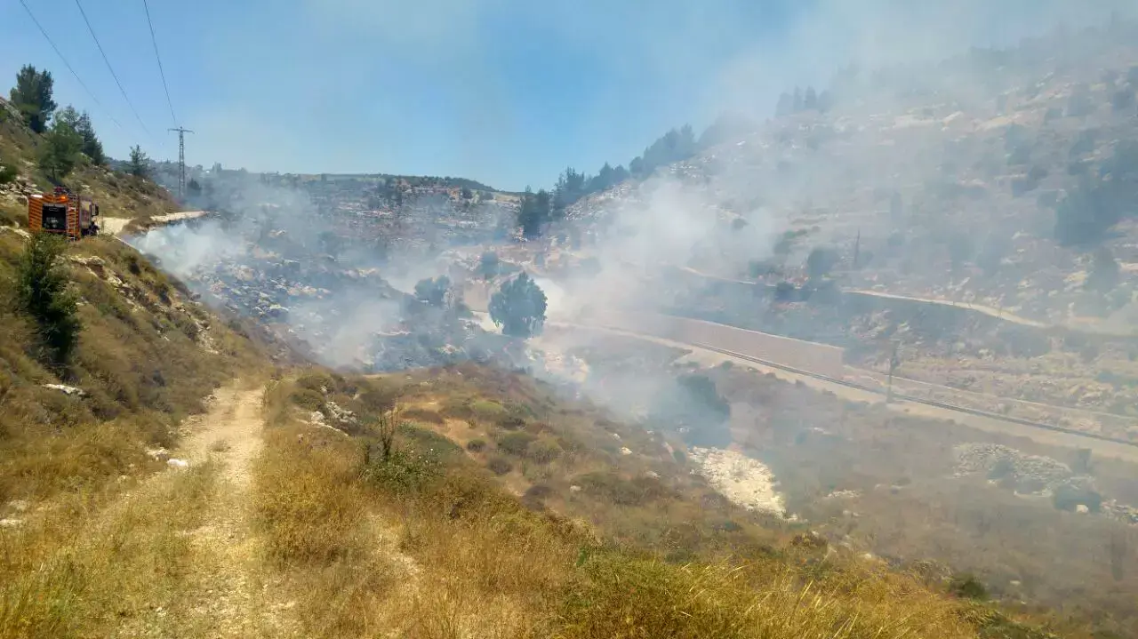 שריפה באזור עין יעל, 5 ביולי 2015 שריפה באזור עין יעל, 5 ביולי 2015