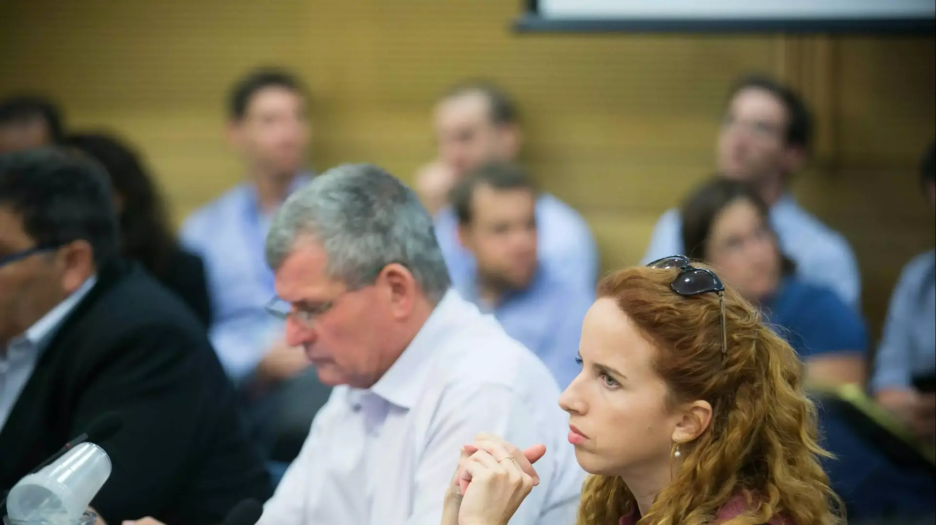ח"כ סתיו שפיר בדיון הוועדה במתווה הגז, יולי 2015 ח"כ סתיו שפיר בדיון הוועדה במתווה הגז, יולי 2015