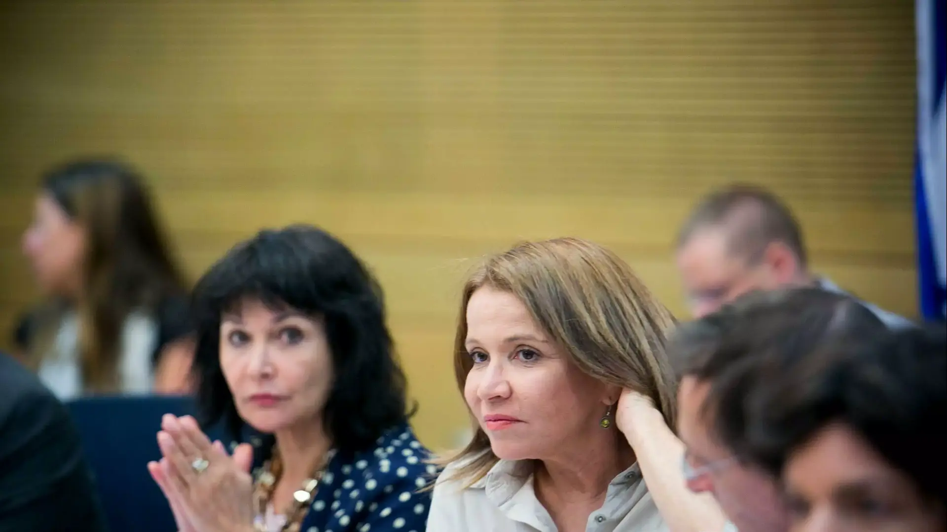 ח"כ שלי יחימוביץ  בדיון הוועדה במתווה הגז, יולי 2015