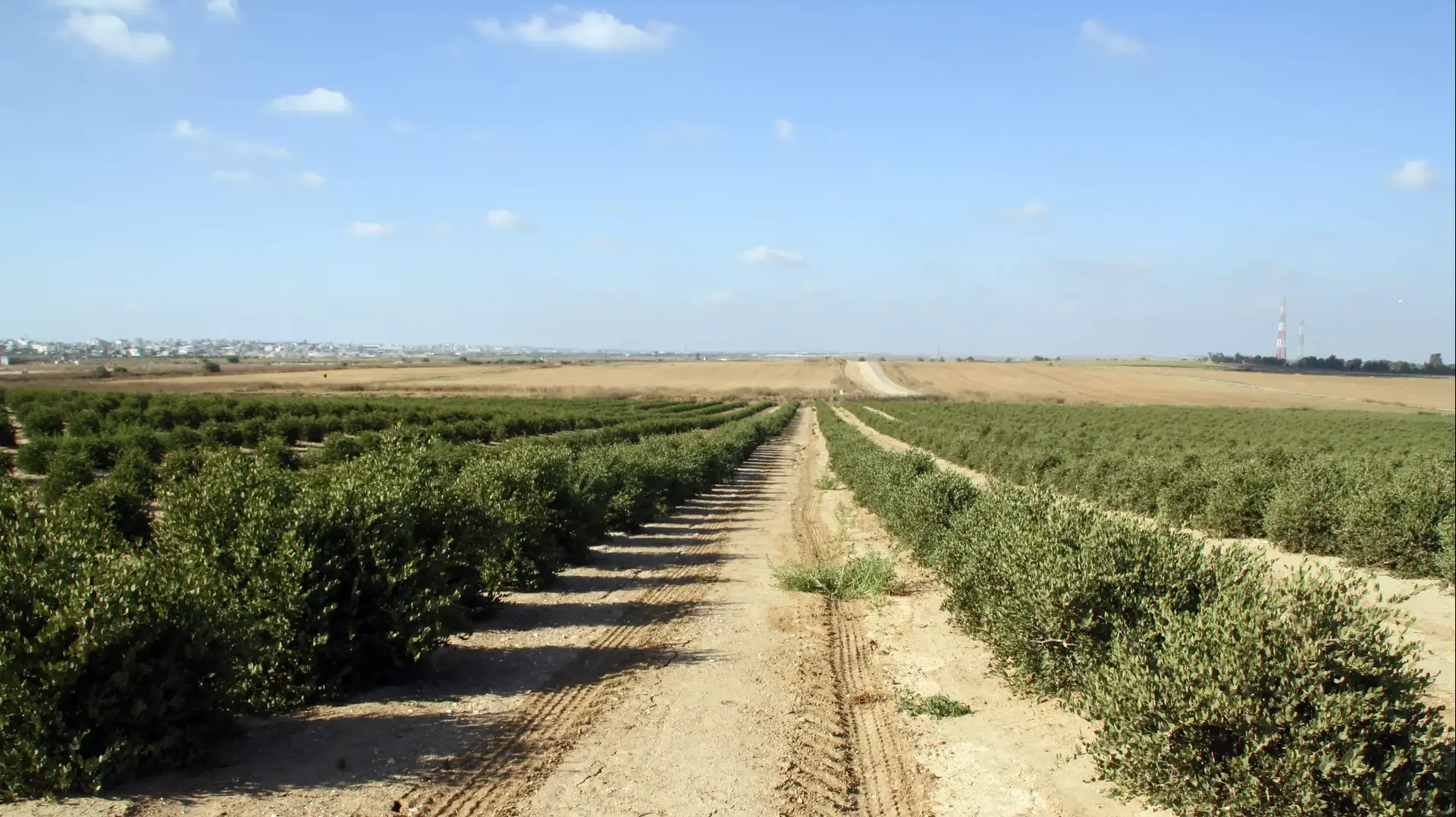 שדות נחל עוז , שנה לאחר מבצע צוק איתן יולי 2015 שדות נחל עוז , שנה לאחר מבצע צוק איתן יולי 2015