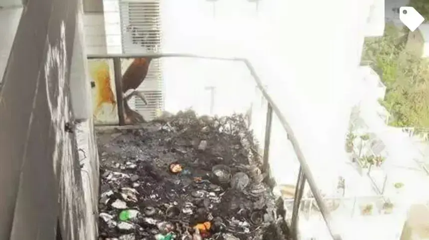 שריפה בבניין בראשון לציון ברחוב שלמה אלירז, יולי 2015 שריפה בבניין בראשון לציון ברחוב שלמה אלירז, יולי 2015