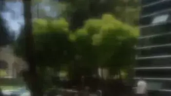 פיגוע בטורקיה בעיירה סורוץ', 20 ביולי 2015 פיגוע בטורקיה בעיירה סורוץ', 20 ביולי 2015