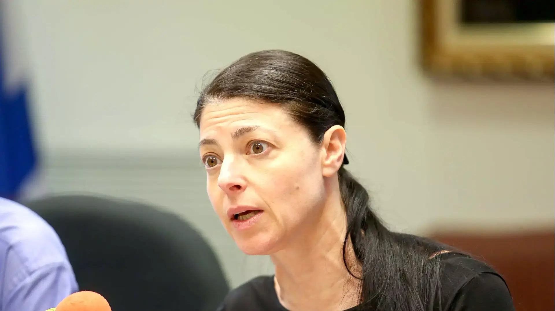ח"כ מרב מיכאלי, סיעת המחנה הציוני, הכנסת, 20 ביולי 2015 ח"כ מרב מיכאלי, סיעת המחנה הציוני, הכנסת, 20 ביולי 2015