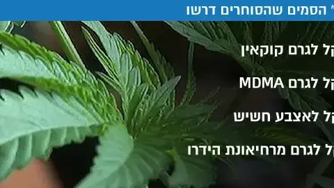 מחירון הסמים שהסוחרים דרשו מחירון הסמים שהסוחרים דרשו