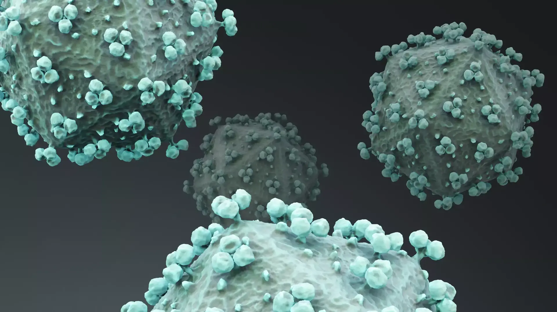 הדמיה של וירוס HIV תוקף תא