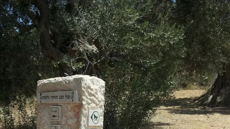 שבילי רכיבה והליכה באזור ההתנחלויות טלמונים ודולב שנפרצו ללא היתר במימון החטיבה להתיישבות שבילי רכיבה והליכה באזור ההתנחלויות טלמונים ודולב שנפרצו ללא היתר במימון החטיבה להתיישבות