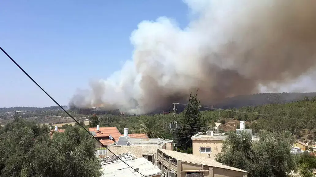 שריפת יער באזור בית שמש 24 יולי 2015