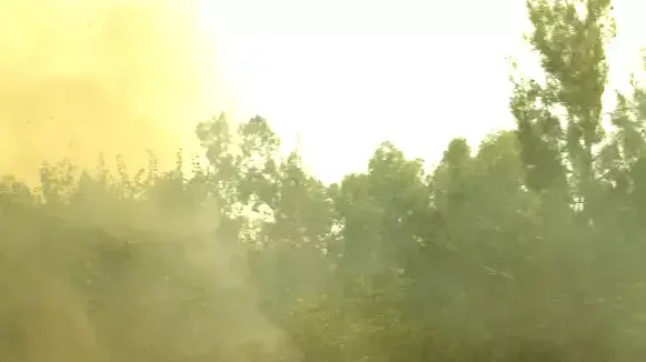 שריפת יער באזור בית שמש 24 יולי 2015 שריפת יער באזור בית שמש 24 יולי 2015