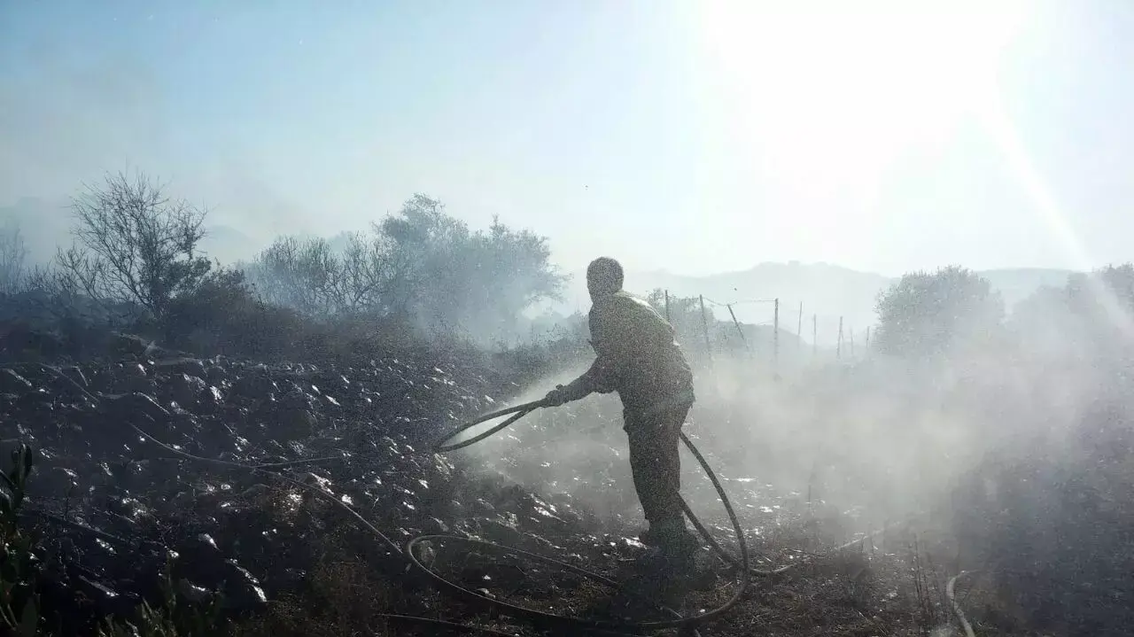 שריפה שפרצה ביער הנמצא בסמוך ליישוב הושעיה שבאזור נצרת, יולי 2015 שריפה שפרצה ביער הנמצא בסמוך ליישוב הושעיה שבאזור נצרת, יולי 2015