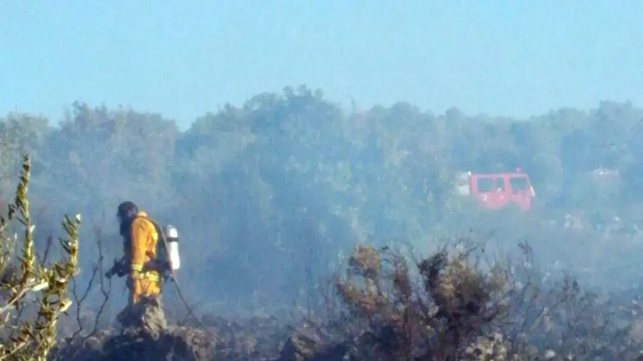 שריפה שפרצה ביער הנמצא בסמוך ליישוב הושעיה שבאזור נצרת, יולי 2015 שריפה שפרצה ביער הנמצא בסמוך ליישוב הושעיה שבאזור נצרת, יולי 2015