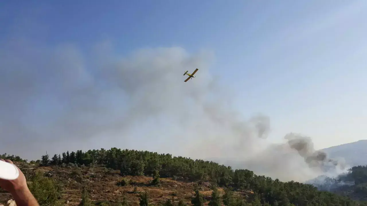 שריפת חורש באלון מורה, 26 ביולי 2015 שריפת חורש באלון מורה, 26 ביולי 2015