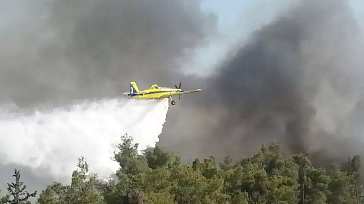 שריפת חורש באלון מורה, 26 ביולי 2015 שריפת חורש באלון מורה, 26 ביולי 2015