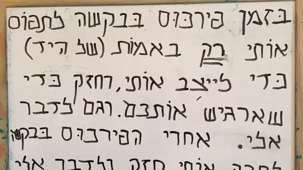 ניקה שגב ניקה שגב