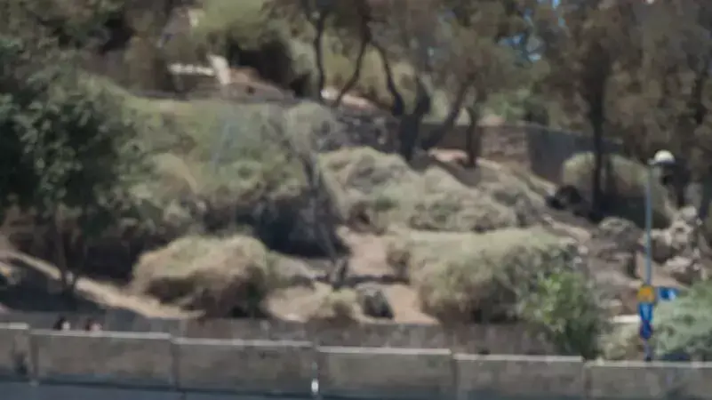 משפחות ערביות ויהודיות מבלות בחוף הים בחופש הגדול משפחות ערביות ויהודיות מבלות בחוף הים בחופש הגדול