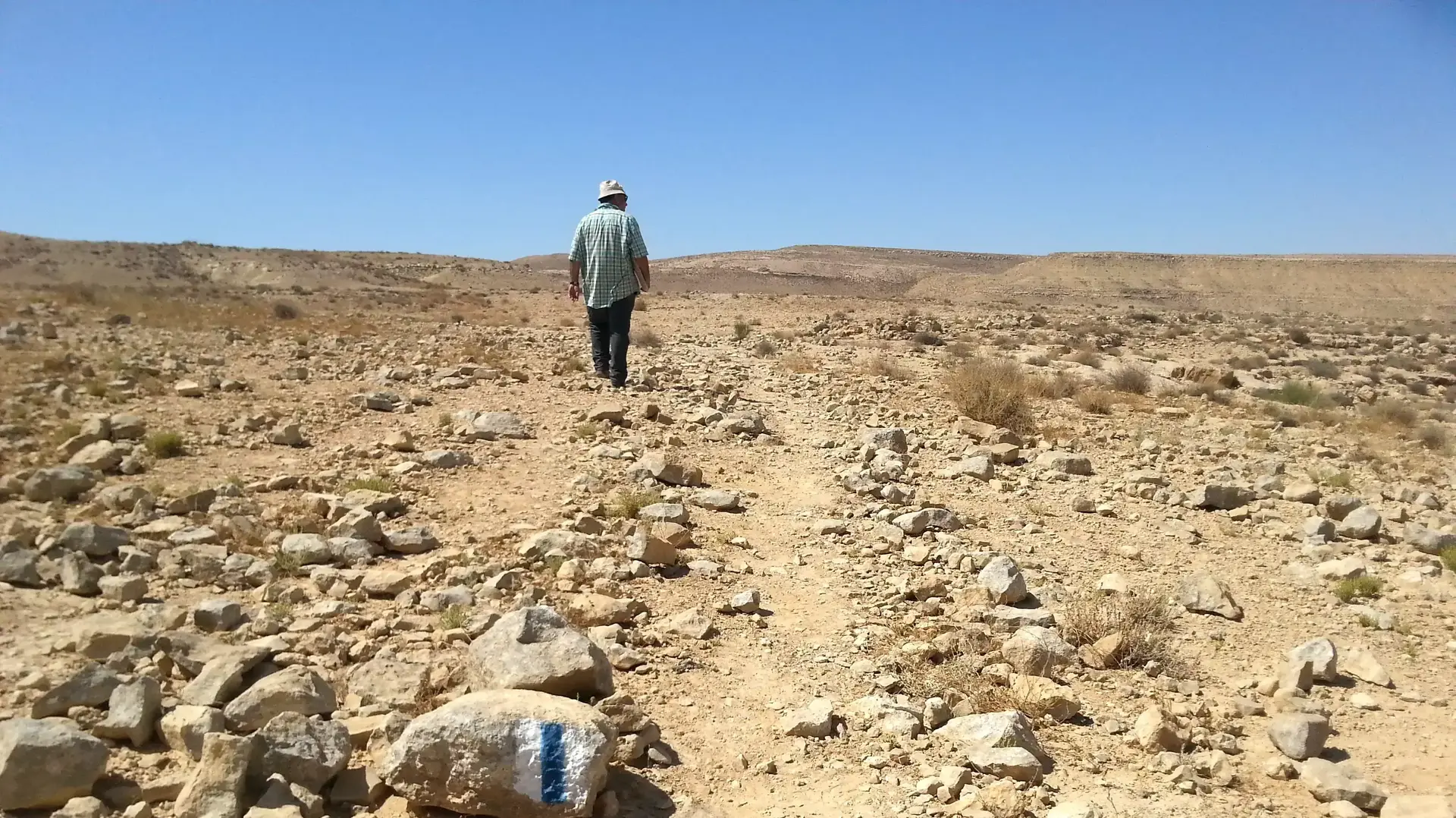 טיול מדברי הר הנגב טיול מדברי הר הנגב