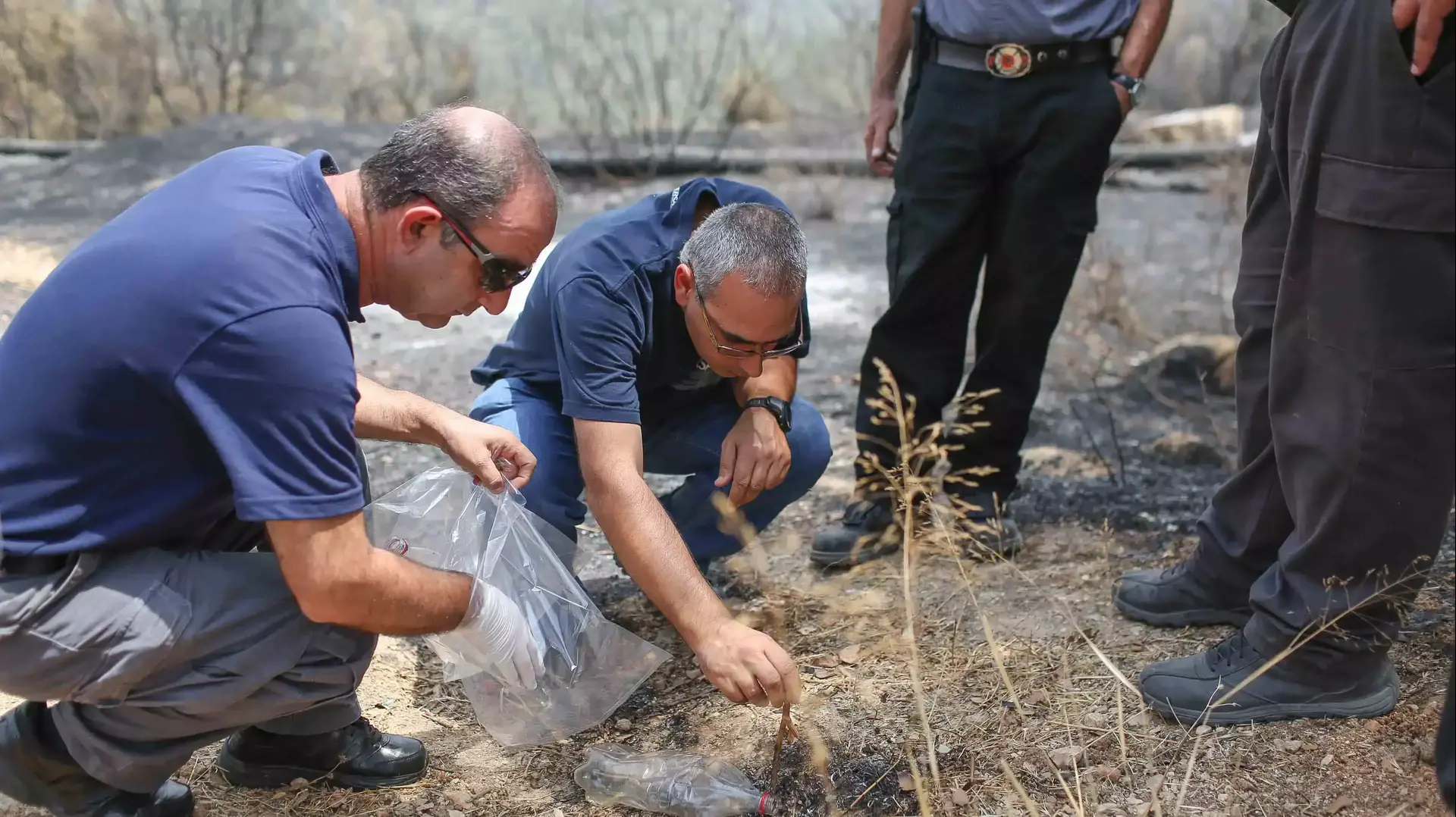 אבן ספיר יום לאחר השריפה, אוגוסט 2015 אבן ספיר יום לאחר השריפה, אוגוסט 2015
