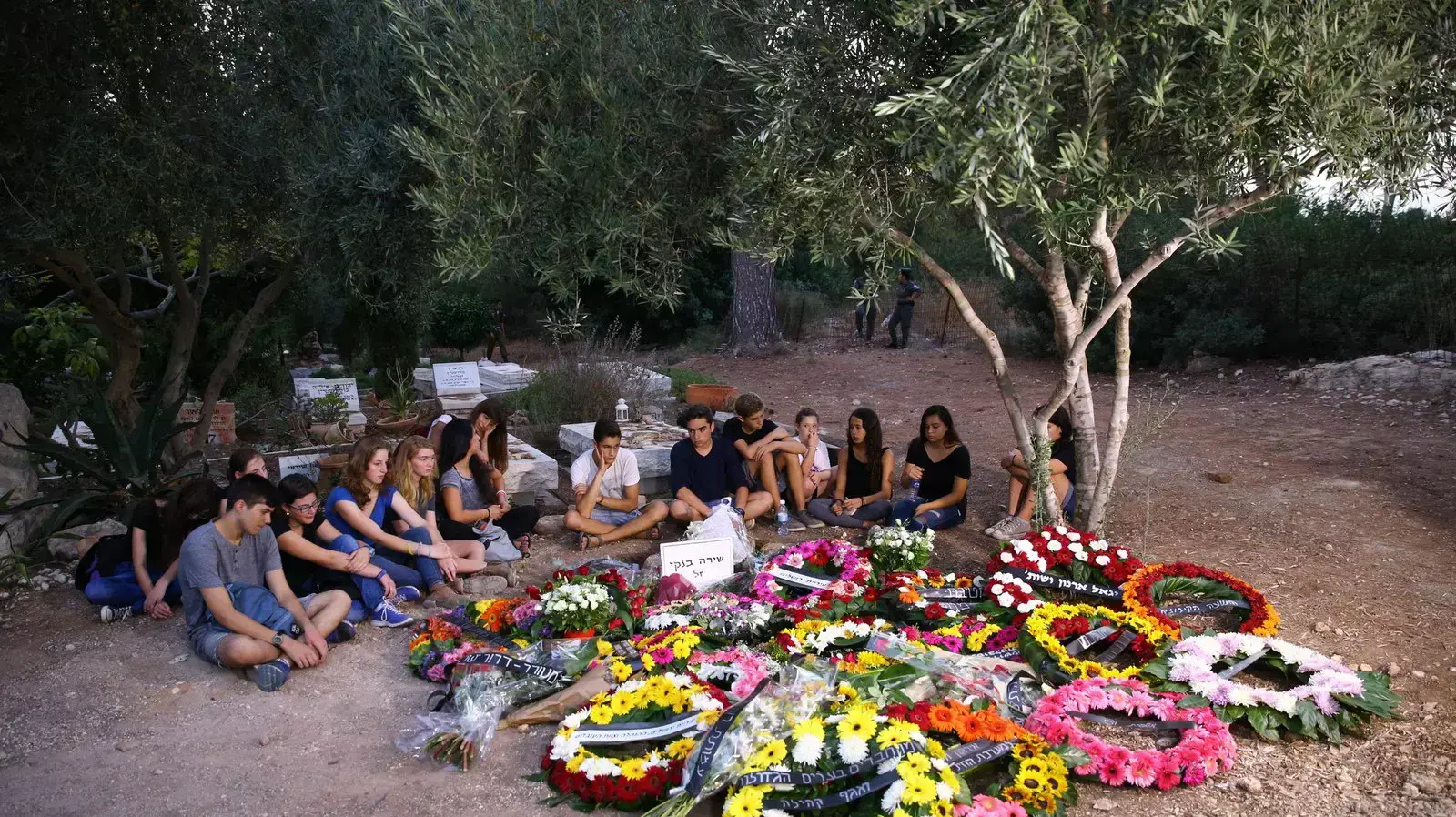 חלקת הקבר של שירה בנקי, קיבוץ נחשון, 3 באוגוסט 2015 חלקת הקבר של שירה בנקי, קיבוץ נחשון, 3 באוגוסט 2015