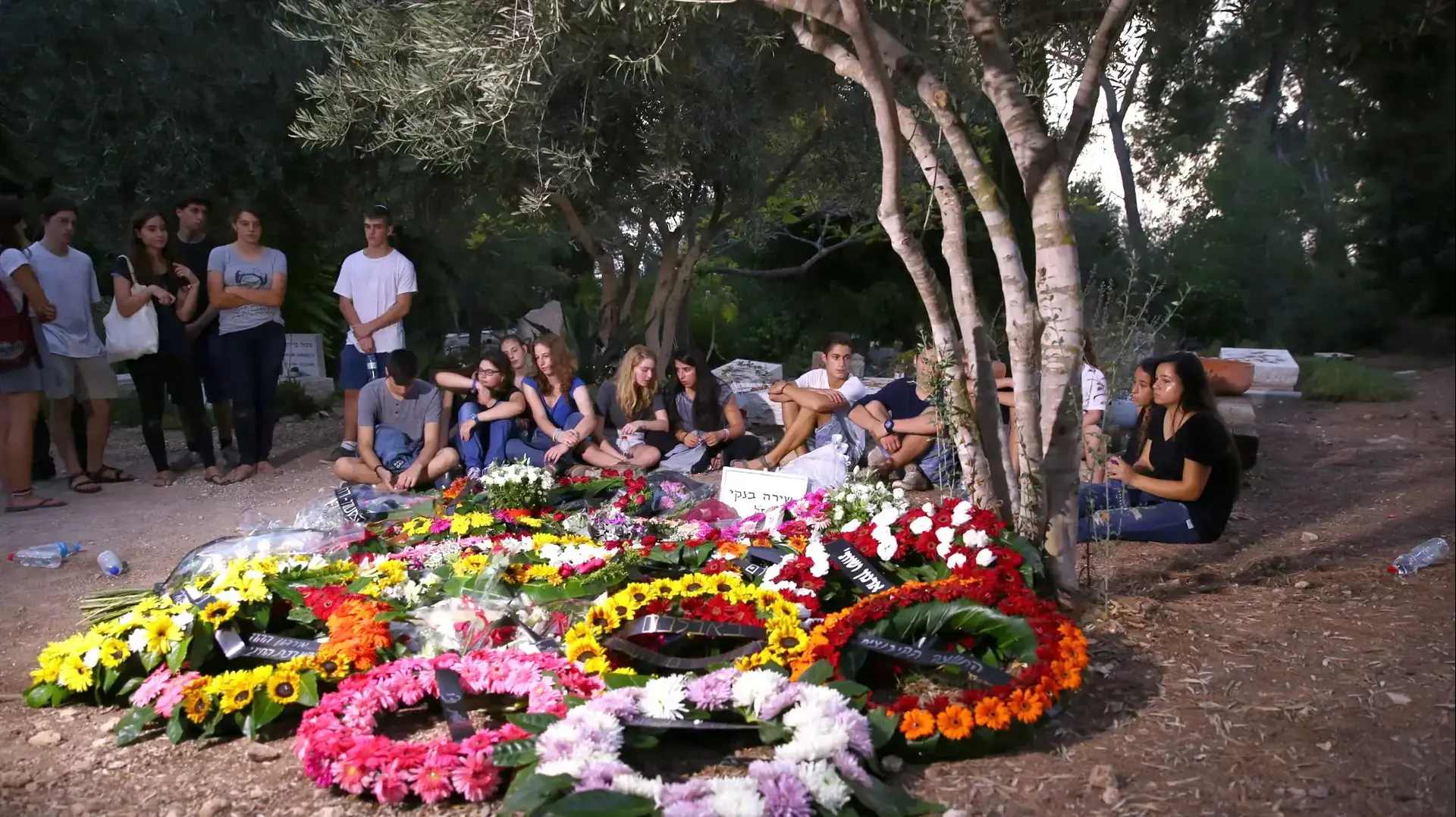 חלקת הקבר של שירה בנקי, קיבוץ נחשון, 3 באוגוסט 2015 חלקת הקבר של שירה בנקי, קיבוץ נחשון, 3 באוגוסט 2015