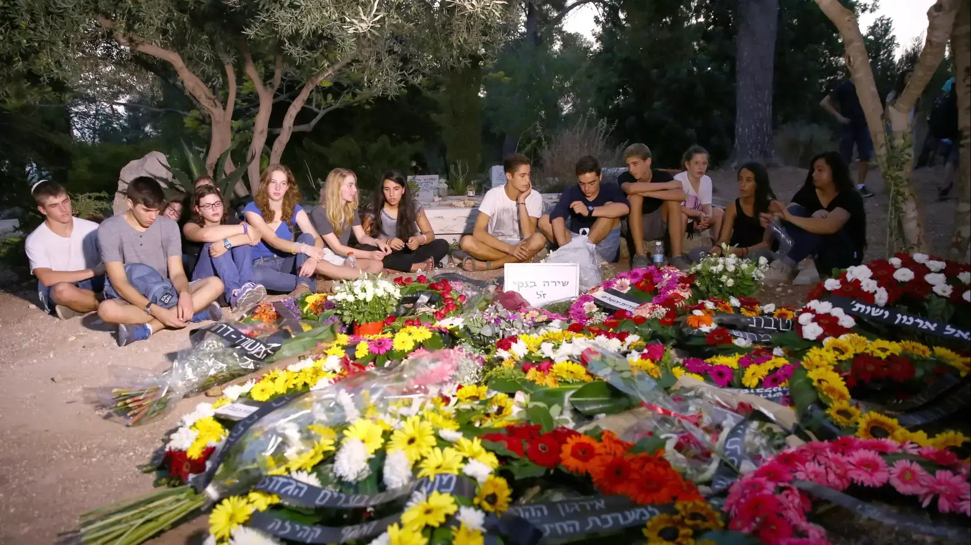 חלקת הקבר של שירה בנקי, קיבוץ נחשון, 3 באוגוסט 2015 חלקת הקבר של שירה בנקי, קיבוץ נחשון, 3 באוגוסט 2015