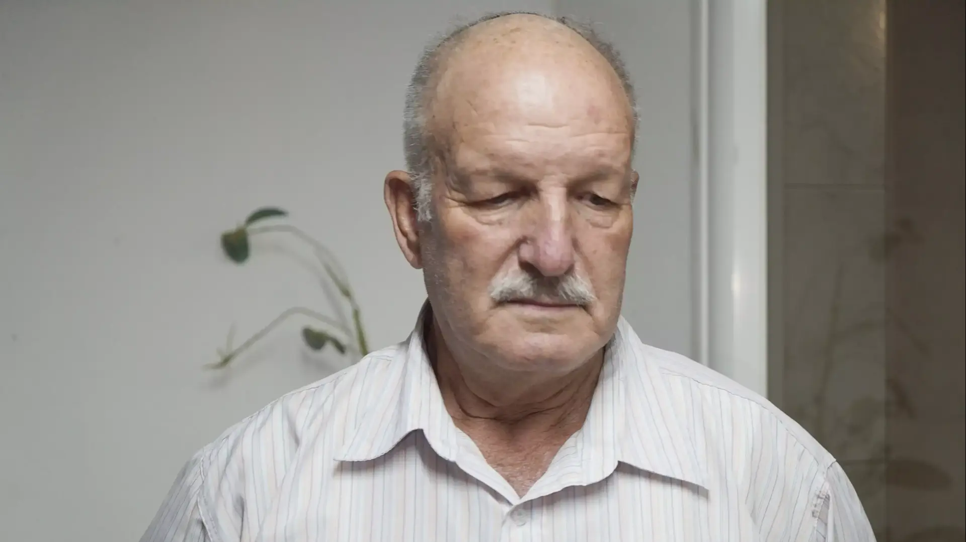 לוי גבעון, סבו של החייל דן סלע שמת מהתייבשות, עפולה. אוגוסט 2015 לוי גבעון, סבו של החייל דן סלע שמת מהתייבשות, עפולה. אוגוסט 2015