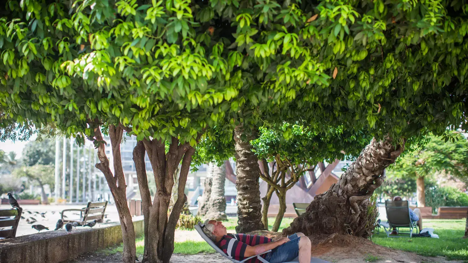 מזג אוויר שרבי בתל אביב, 7 באוגוסט 2015 מזג אוויר שרבי בתל אביב, 7 באוגוסט 2015