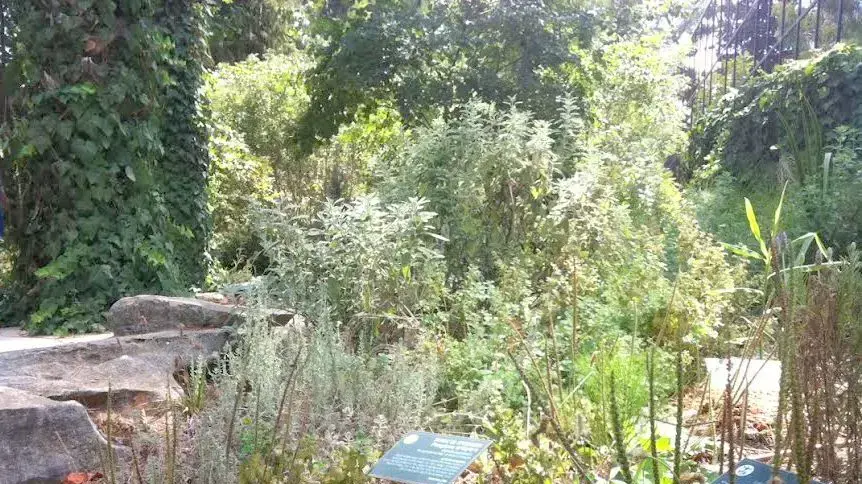 מרכז מבקרים ברא צמחים יקנעם מרכז מבקרים ברא צמחים יקנעם