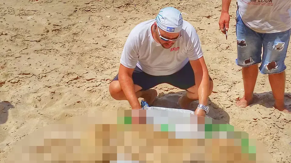 אסף ברזינגר עם הכלב הוטבע בחוף ארגמן בנתניה אסף ברזינגר עם הכלב הוטבע בחוף ארגמן בנתניה