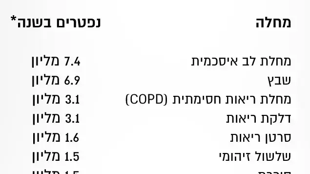 אינפו אינפו