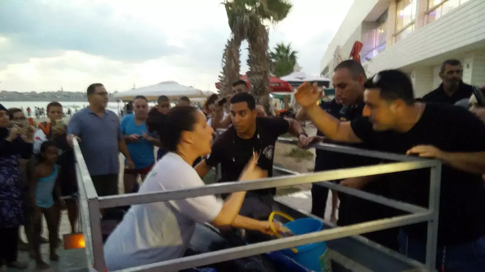 חילוץ דולפין פצוע שנתקע בין הסלעים בחוף הארגמן בעכו, 26 באוגוסט 2015. חילוץ דולפין פצוע שנתקע בין הסלעים בחוף הארגמן בעכו, 26 באוגוסט 2015.