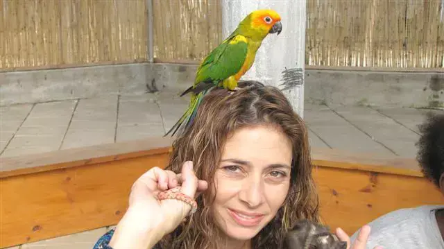 מגמת וטרינריה בכפר הנוער ויצ"ו גן ונוף שבפתח תקווה מגמת וטרינריה בכפר הנוער ויצ"ו גן ונוף שבפתח תקווה