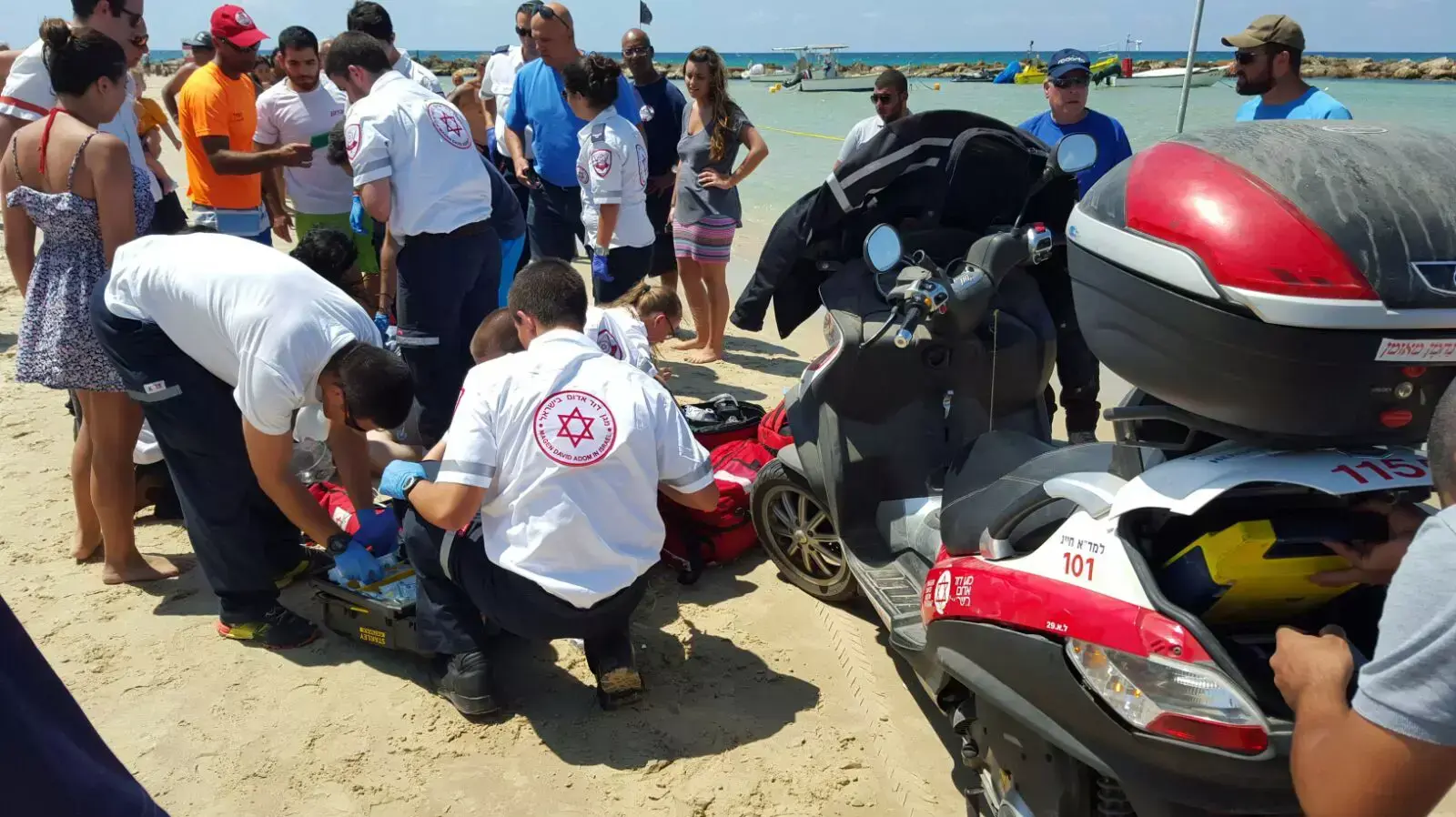 צעיר טבע בים, חוף סירונית, נתניה צעיר טבע בים, חוף סירונית, נתניה