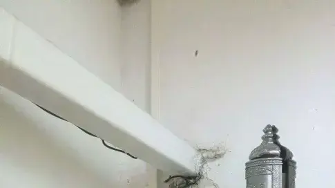 בית ספר בקריית שלום, ספטמבר 2015 בית ספר בקריית שלום, ספטמבר 2015