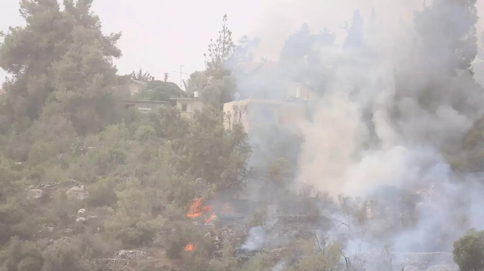 שריפה בכביש 1 סמוך למוצא, 10 בספטמבר 2015 שריפה בכביש 1 סמוך למוצא, 10 בספטמבר 2015