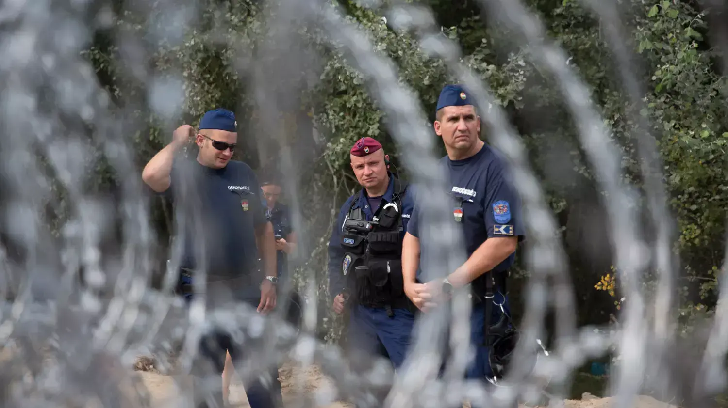 פליטים בסרביה, ליד הגבול עם הונגריה פליטים בסרביה, ליד הגבול עם הונגריה