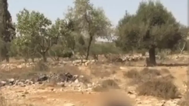 התעללות בכלב ליד גבעת זאב