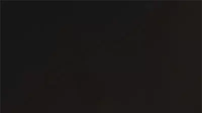 צמחי מרפא