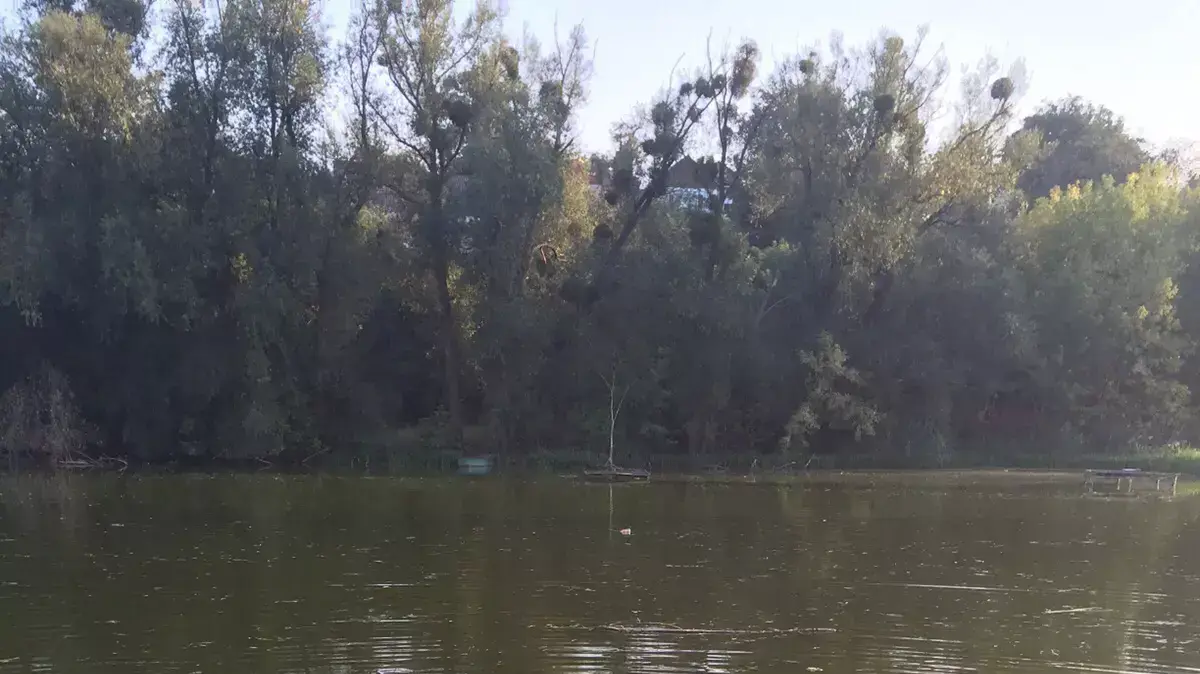חיפושי זק"א באומן אחר הנעדר הישראלי אמיר אוחנה, 18 בספטמבר 2015 חיפושי זק"א באומן אחר הנעדר הישראלי אמיר אוחנה, 18 בספטמבר 2015