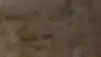 יום כיפור
