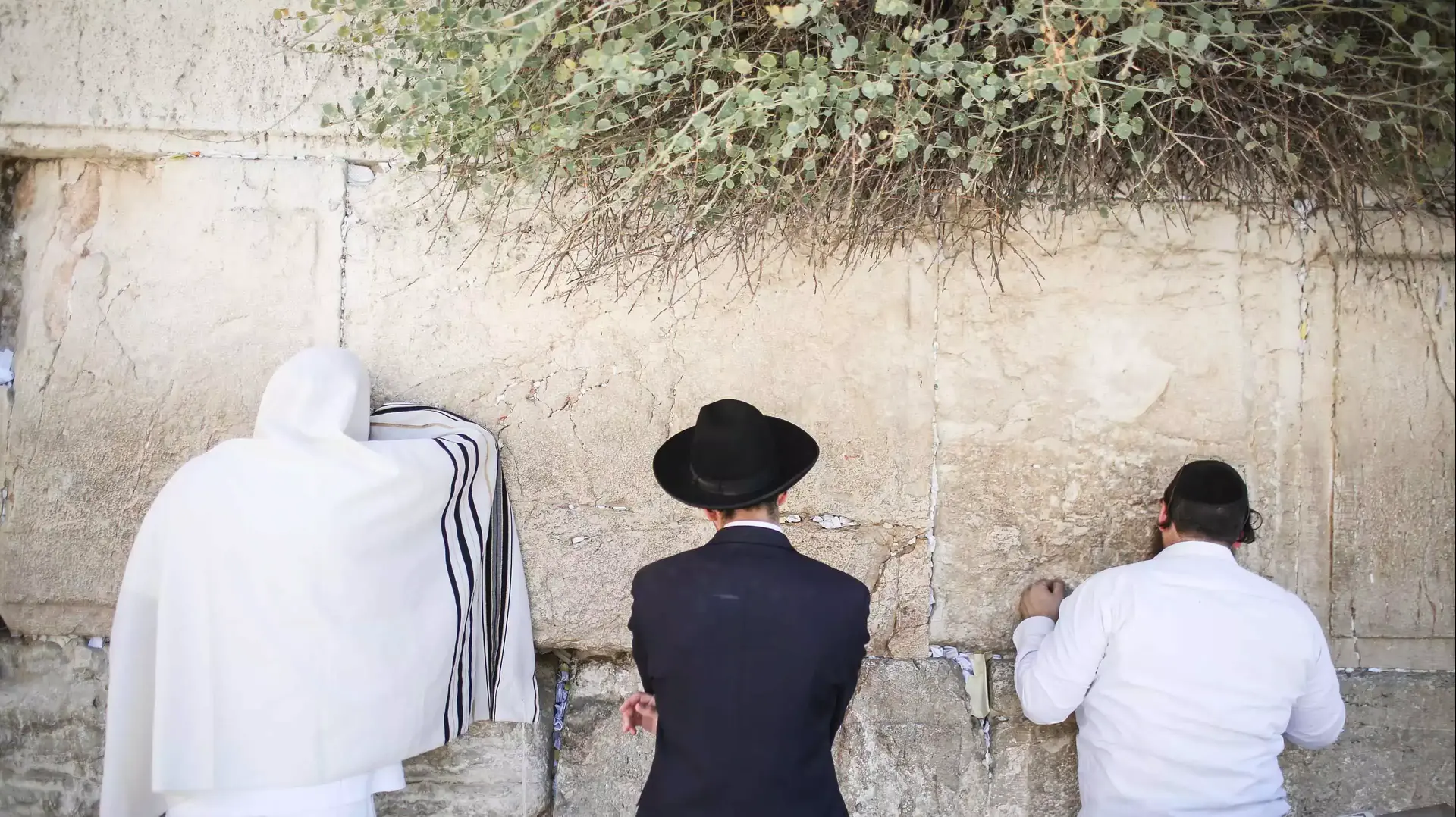 תפילות ברחבת הכותל בירושלים ביום הכיפורים, ספטמבר 2015 תפילות ברחבת הכותל בירושלים ביום הכיפורים, ספטמבר 2015