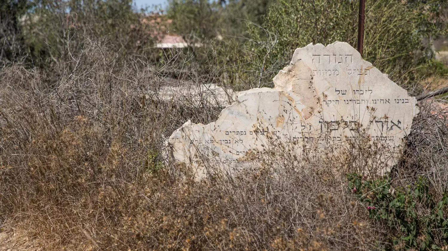 השתלטות על מבנים של פלסטינים, סמוך לגבעת זאב, ספטמבר 2015 השתלטות על מבנים של פלסטינים, סמוך לגבעת זאב, ספטמבר 2015