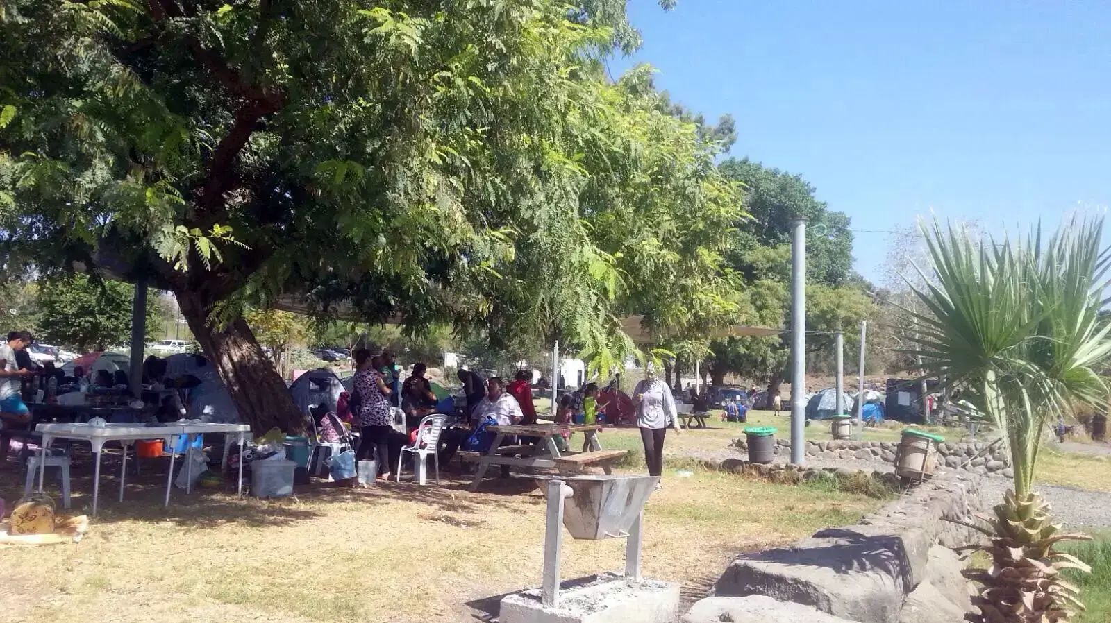 נופשים בחוף מפרץ אמנון בכינרת 26 ספטמבר 2015 נופשים בחוף מפרץ אמנון בכינרת 26 ספטמבר 2015