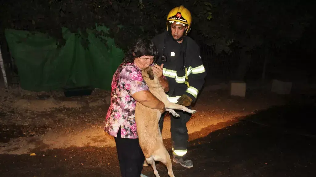 חשד להצתה בכלביית תנו לחיות לחיות שבגליל, ספטמבר 2015 חשד להצתה בכלביית תנו לחיות לחיות שבגליל, ספטמבר 2015