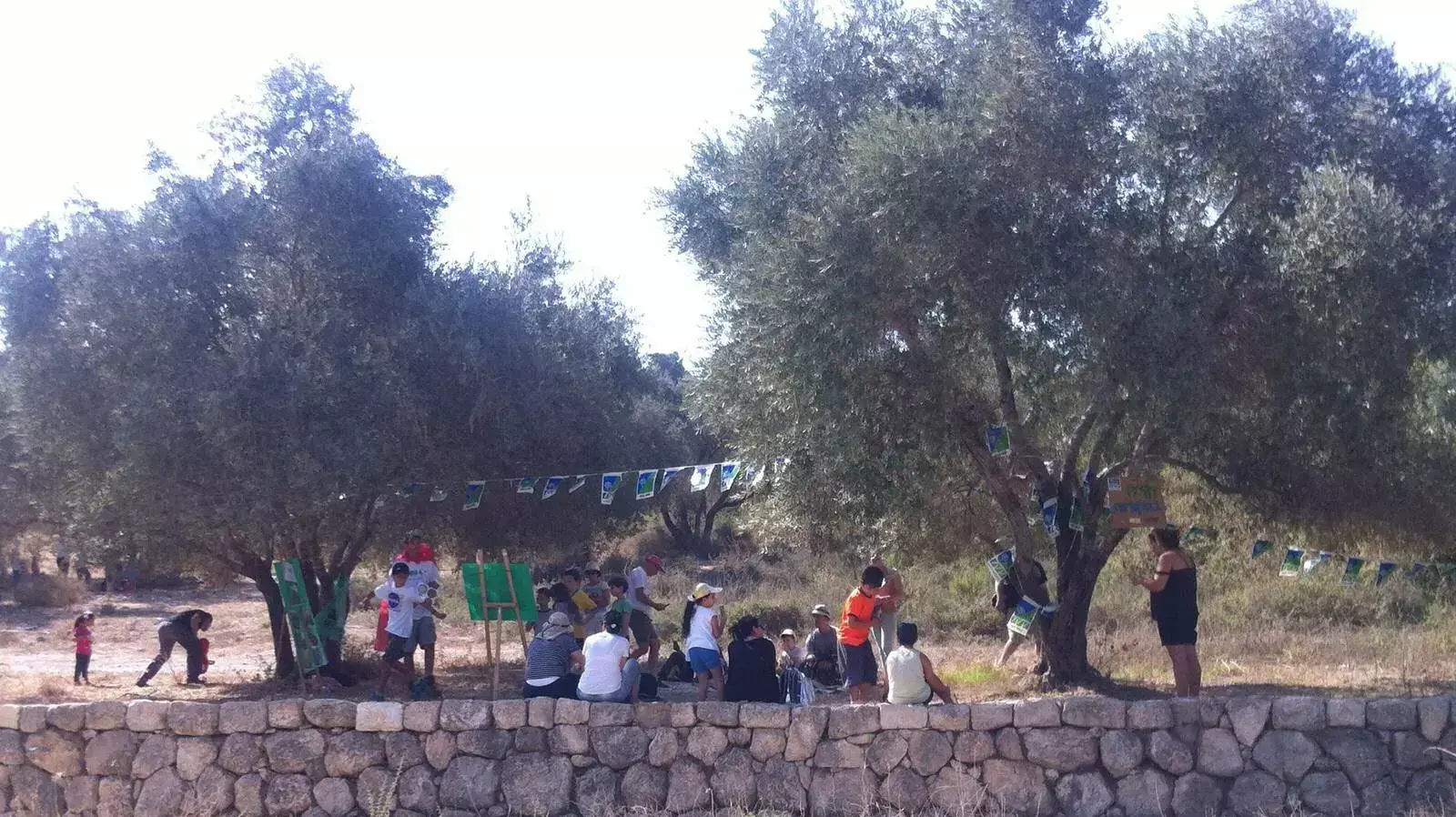 חוה"מ סוכות, מסיק זיתים בפארק קנדה. ספטמבר 2015 חוה"מ סוכות, מסיק זיתים בפארק קנדה. ספטמבר 2015