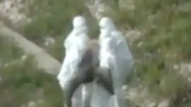 האם זה בן ים שנמצא על גדות אגם בפולין? האם זה בן ים שנמצא על גדות אגם בפולין?